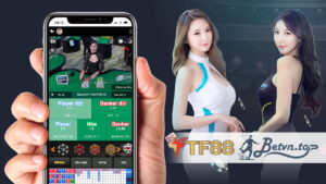 casino tf88